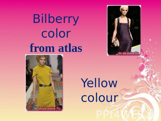 Bilberry colorfrom atlas Yellow colour