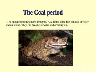 Amphibians (408-360 million years ago ...). The climate becomes more droughty. A