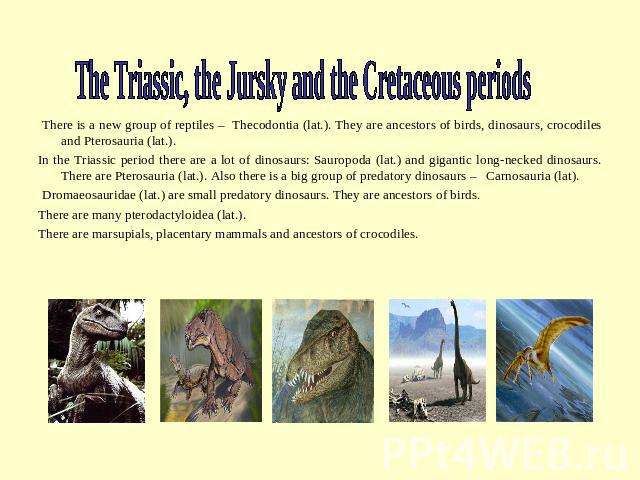 Dinosaurs (286-248 million years ago ...). The Triassic, the Jursky and the Cretaceous periods There is a new group of reptiles – Thecodontia (lat.). They are ancestors of birds, dinosaurs, crocodiles and Pterosauria (lat.).In the Triassic period th…