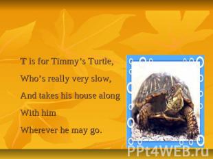 Letter Tt T is for Timmy’s Turtle,Who’s really very slow,And takes his house alo