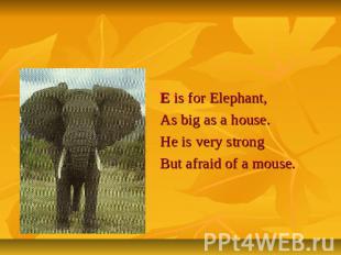 Letter Ee E is for Elephant,As big as a house.He is very strongBut afraid of a m