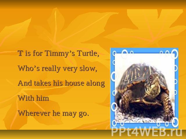 Letter Tt T is for Timmy’s Turtle,Who’s really very slow,And takes his house alongWith himWherever he may go.