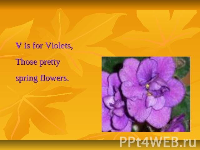 Letter Vv V is for Violets,Those pretty spring flowers.