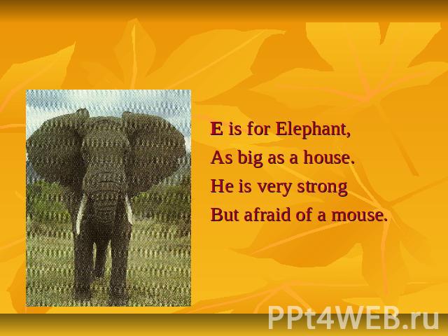 Letter Ee E is for Elephant,As big as a house.He is very strongBut afraid of a mouse.