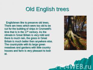 Englishmen like to preserve old trees. There are trees which were too old to be