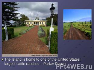 The Island is home to one of the United States’ largest cattle ranches – Parker