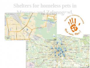 Shelters for homeless pets in Moscow and Zelenograd.