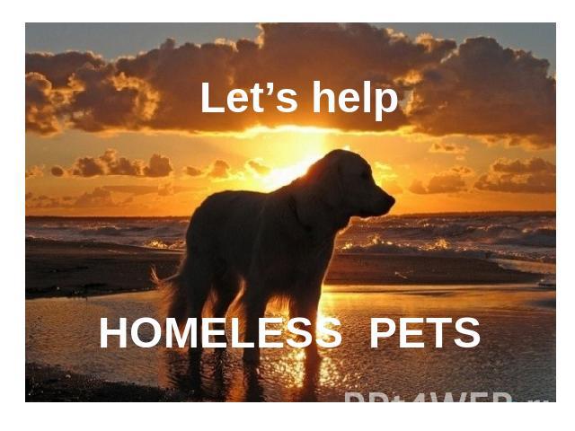 Let’s help HOMELESS PETS