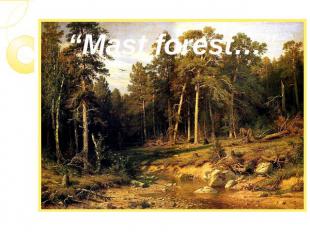 “Mast forest…”