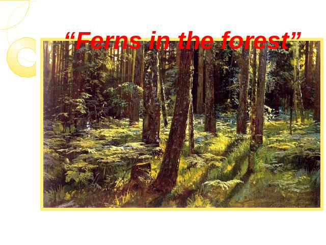 “Ferns in the forest”