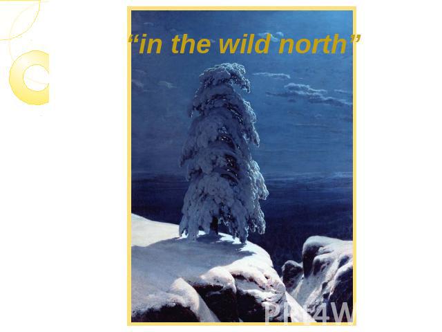 “in the wild north”