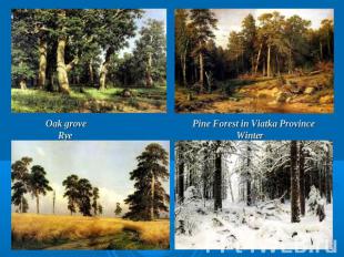 Oak grove Pine Forest in Viatka Province Rye Winter
