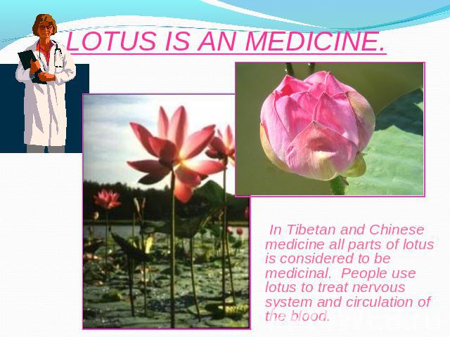 LOTUS IS AN MEDICINE. In Tibetan and Chinese medicine all parts of lotus is considered to be medicinal. People use lotus to treat nervous system and circulation of the blood.