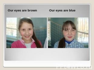 Our eyes are brown Our eyes are blue