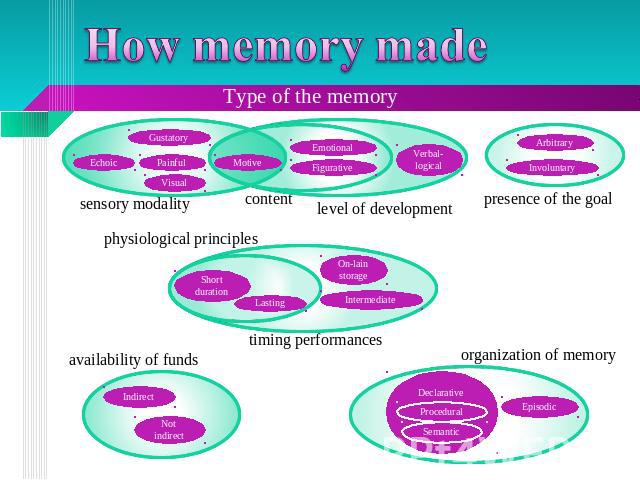 How memory made Type of the memory sensory modality content physiological principles presence of the goal availability of funds timing performances organization of memory