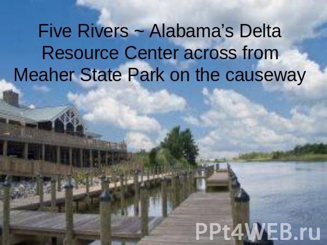 Five Rivers ~ Alabama’s Delta Resource Center across from Meaher State Park on the causeway