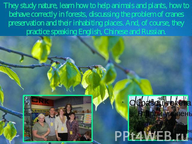 They study nature, learn how to help animals and plants, how to behave correctly in forests, discussing the problem of cranes preservation and their inhabiting places. And, of course, they practice speaking English, Chinese and Russian.