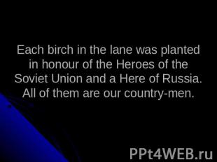 Each birch in the lane was planted in honour of the Heroes of the Soviet Union a