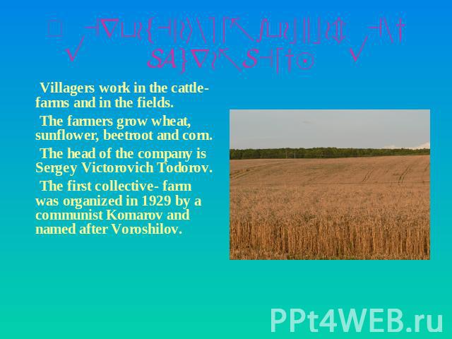 А part of a joined-stock company“Agro-Sady” Villagers work in the cattle- farms and in the fields. The farmers grow wheat, sunflower, beetroot and corn. The head of the company is Sergey Victorovich Todorov. The first collective- farm was organized …