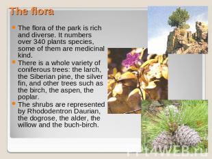 The flora The flora of the park is rich and diverse. It numbers over 340 plants