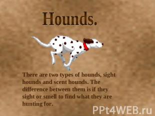 Hounds. There are two types of hounds, sight hounds and scent hounds. The differ