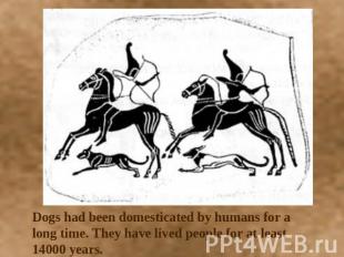 Dogs had been domesticated by humans for a long time. They have lived people for