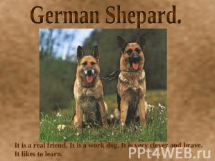 German Shepard. It is a real friend. It is a work dog. It is very clever and bra