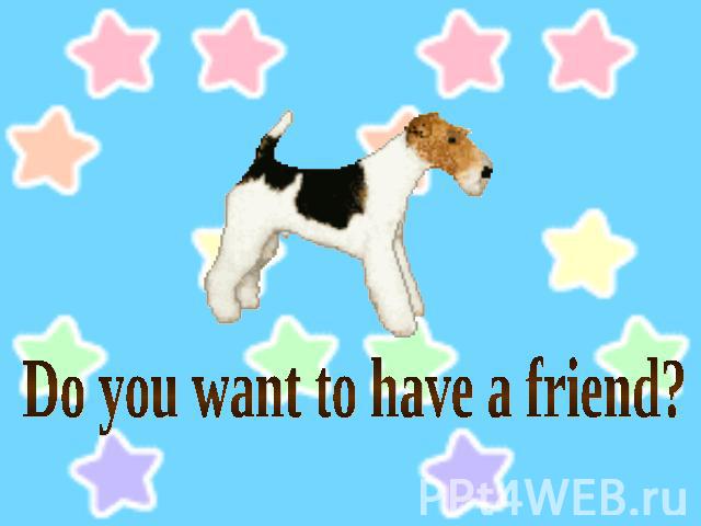 Do you want to have a friend?