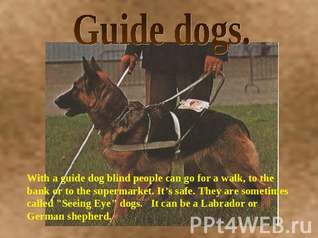Guide dogs. With a guide dog blind people can go for a walk, to the bank or to the supermarket. It’s safe. They are sometimes called 