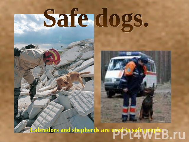 Safe dogs. Labradors and shepherds are used to safe people.