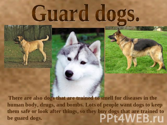 Guard dogs. There are also dogs that are trained to smell for diseases in the human body, drugs, and bombs. Lots of people want dogs to keep them safe or look after things, so they buy dogs that are trained to be guard dogs.