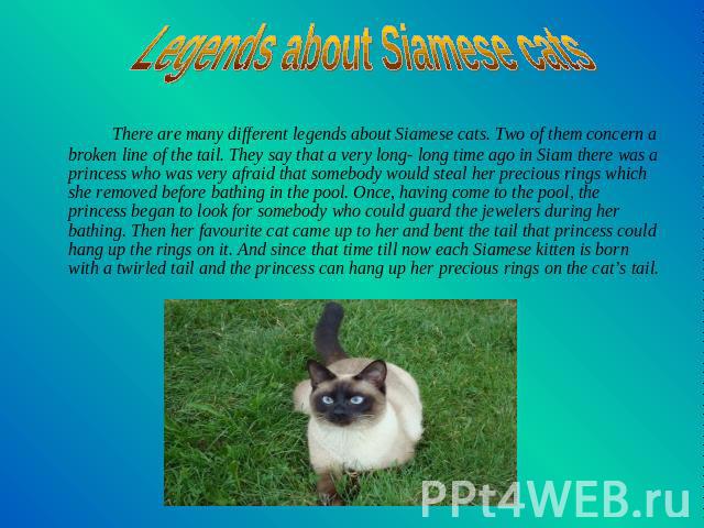 Legends about Siamese cats There are many different legends about Siamese cats. Two of them concern a broken line of the tail. They say that a very long- long time ago in Siam there was a princess who was very afraid that somebody would steal her pr…