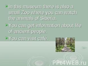 In this museum there is also a small Zoo where you can watch the animals of Sibe
