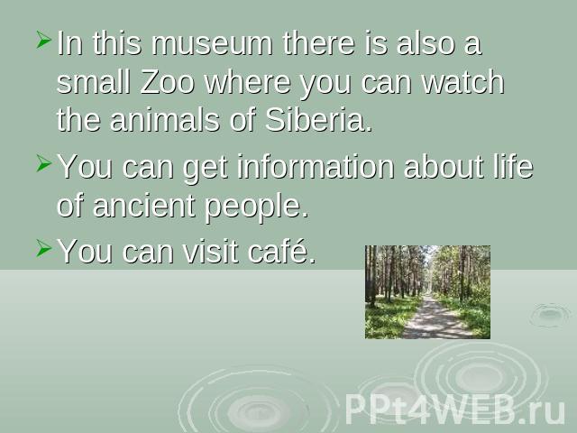 In this museum there is also a small Zoo where you can watch the animals of Siberia.You can get information about life of ancient people.You can visit café.