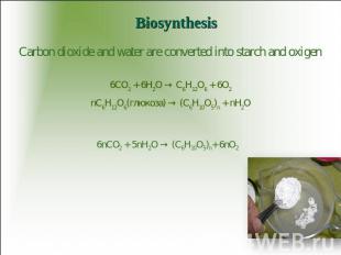 Biosynthesis Carbon dioxide and water are converted into starch and oxigen 6CO2