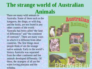 The strange world of Australian Animals There are many wild animals in Australia