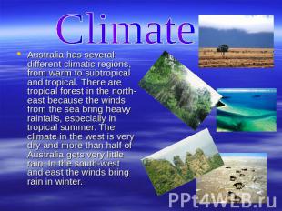 Сlimate Australia has several different climatic regions, from warm to subtropic