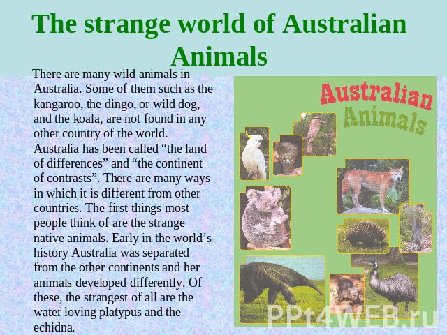 The strange world of Australian Animals There are many wild animals in Australia. Some of them such as the kangaroo, the dingo, or wild dog, and the koala, are not found in any other country of the world. Australia has been called “the land of diffe…