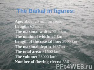 The Baikal in figures: Age: about 25 million yearsLength: 636 kmThe maximal widt
