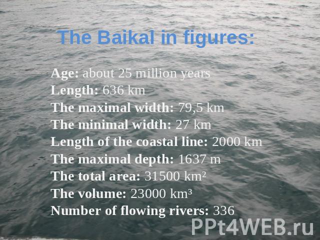 The Baikal in figures: Age: about 25 million yearsLength: 636 kmThe maximal width: 79,5 kmThe minimal width: 27 kmLength of the coastal line: 2000 kmThe maximal depth: 1637 mThe total area: 31500 km²The volume: 23000 km³Number of flowing rivers: 336