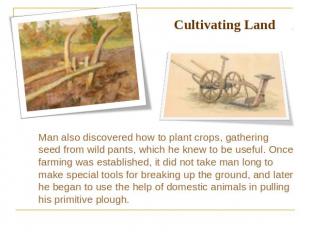 Cultivating Land Man also discovered how to plant crops, gathering seed from wil