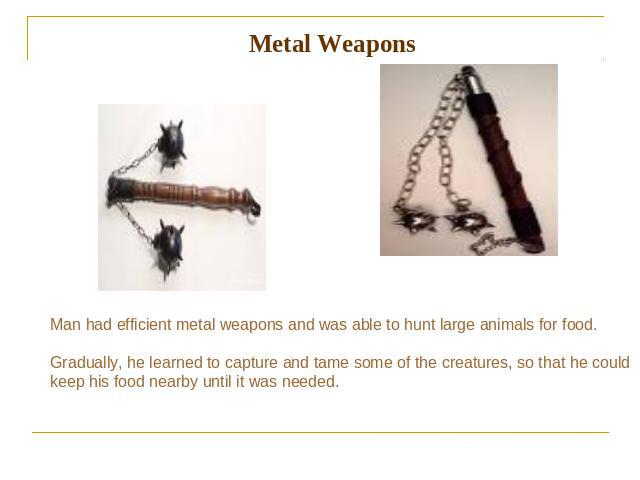 Metal Weapons Man had efficient metal weapons and was able to hunt large animals for food. Gradually, he learned to capture and tame some of the creatures, so that hе could keep his food nearby until it was needed.