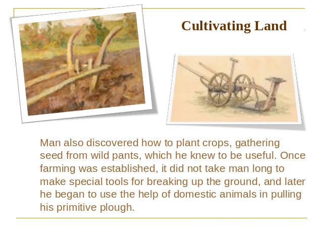 Cultivating Land Man also discovered how to plant crops, gathering seed from wild pants, which he knew to be useful. Once farming was established, it did not take man long to make special tools for breaking up the ground, and later he began to use t…