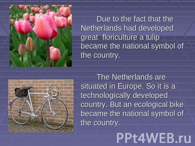 Due to the fact that the Netherlands had developed great floriculture a tulip became the national symbol of the country. The Netherlands are situated in Europe. So it is a technologically developed country. But an ecological bike became the national…