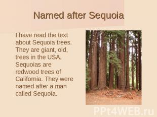 Named after Sequoia I have read the text about Sequoia trees. They are giant, ol