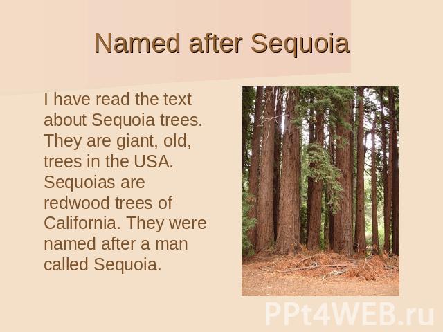 Named after Sequoia I have read the text about Sequoia trees. They are giant, old, trees in the USA. Sequoias are redwood trees of California. They were named after a man called Sequoia.