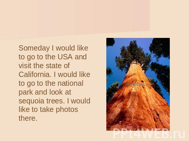 Someday I would like to go to the USA and visit the state of California. I would like to go to the national park and look at sequoia trees. I would like to take photos there.