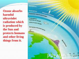 Ozone absorbs harmful ultraviolet radiation which is produced by the Sun and pro