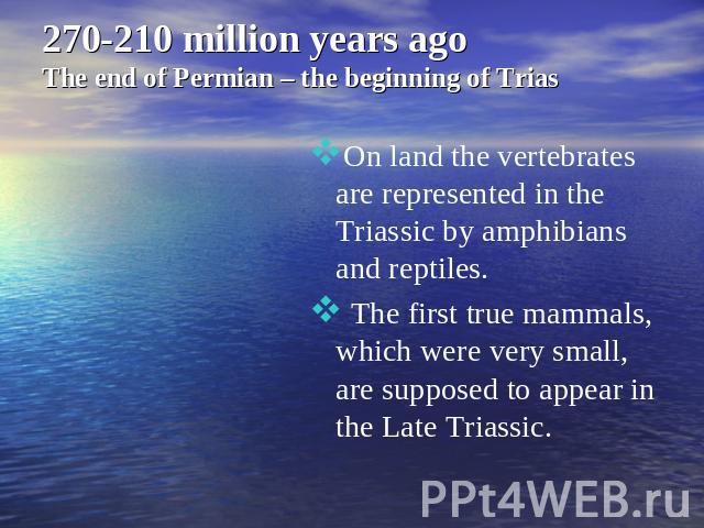 270-210 million years ago The end of Permian – the beginning of Trias On land the vertebrates are represented in the Triassic by amphibians and reptiles. The first true mammals, which were very small, are supposed to appear in the Late Triassic.
