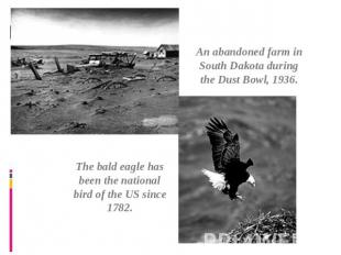 An abandoned farm in South Dakota during the Dust Bowl, 1936. The bald eagle has